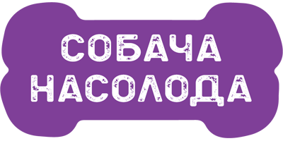66